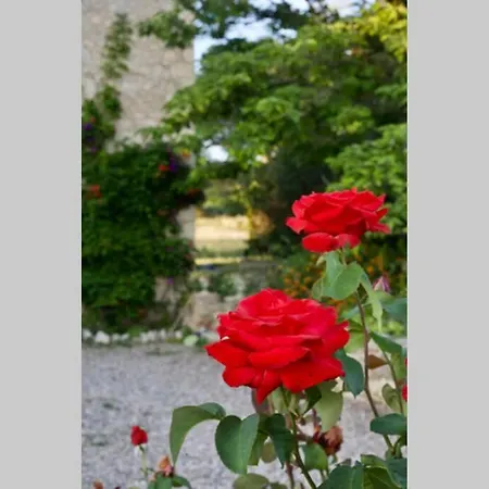 Dom wakacyjny Maison Saraphina Cruzy