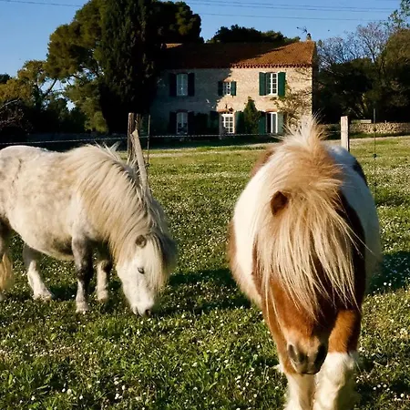 Dom wakacyjny Maison Saraphina Cruzy