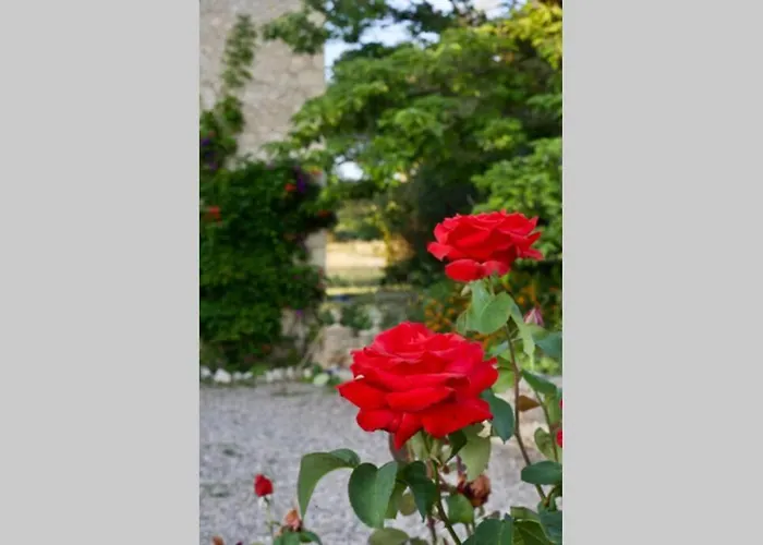 Casa de Férias Maison Saraphina Cruzy