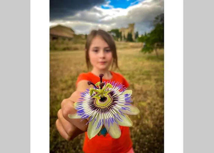 Maison Saraphina Casa de Férias *